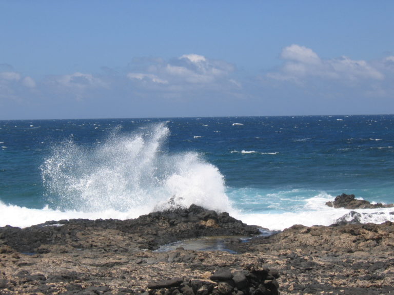 #fuerteventura